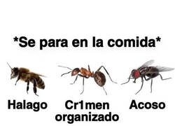 Enlace a Cuando la cocina se vuelve aventura extrema