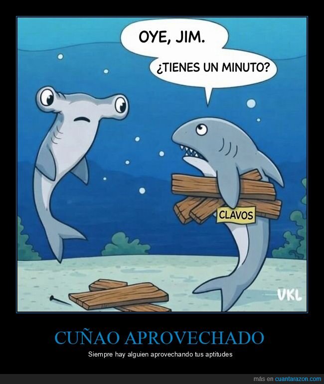 tibur&oacute;n,carpinter&iacute;a,emprendimiento,fracaso,competencia