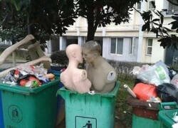 Enlace a Hasta la basura tiene pareja