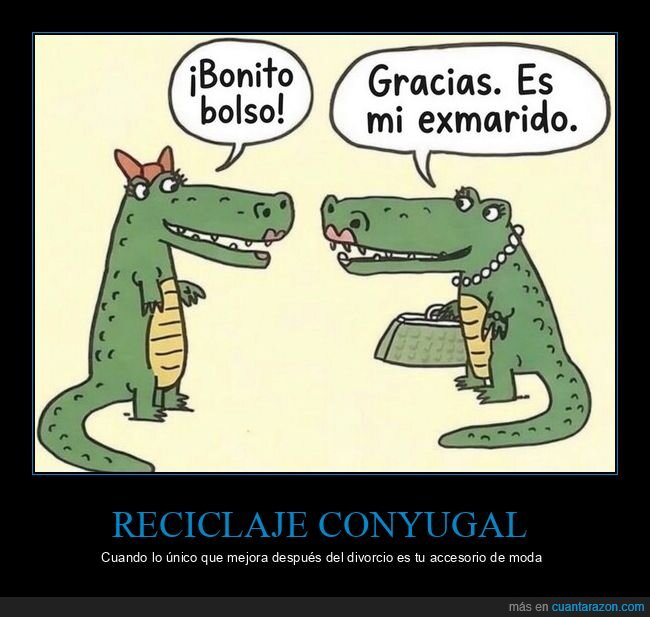 divorcio,expareja,bolso,cocodrilo,reutilizaci&oacute;n