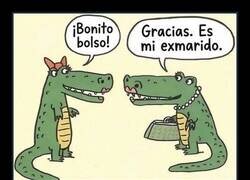 Enlace a Del nido al bolso