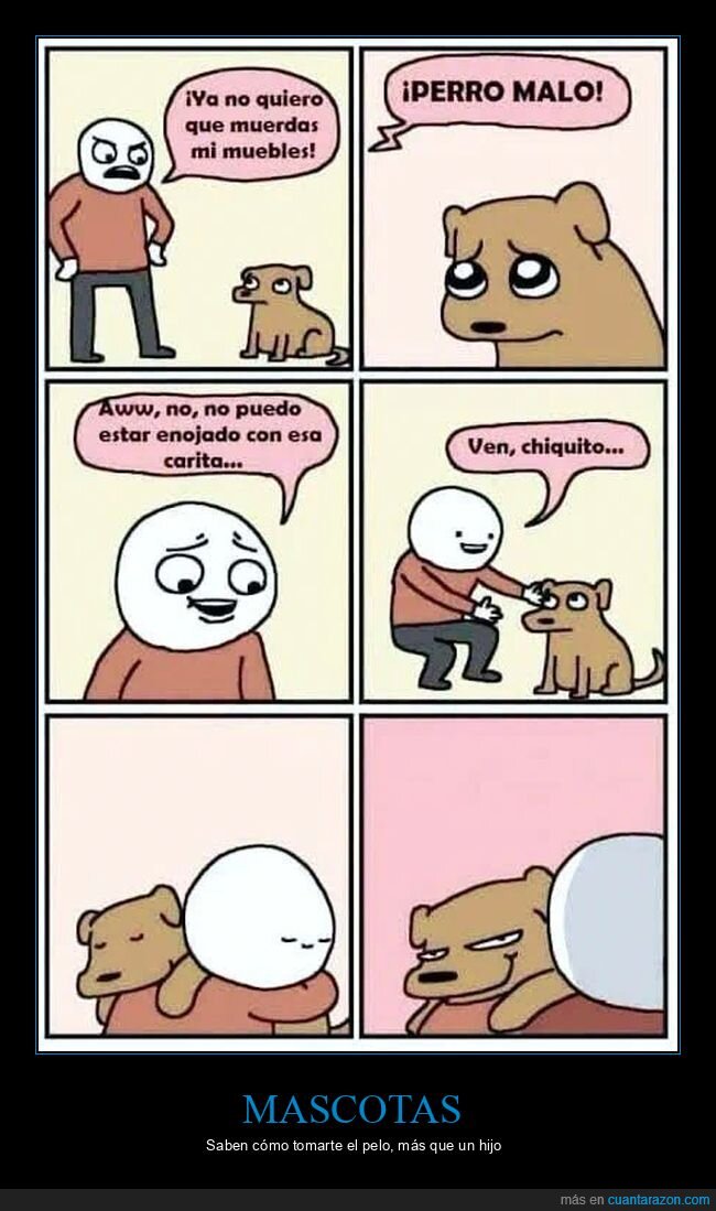 mascotas,traici&oacute;n,perros,relaciones,control
