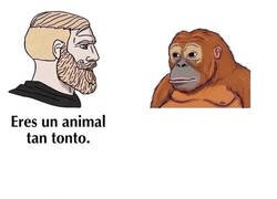 Enlace a Peor que un primate con tarjeta de crédito