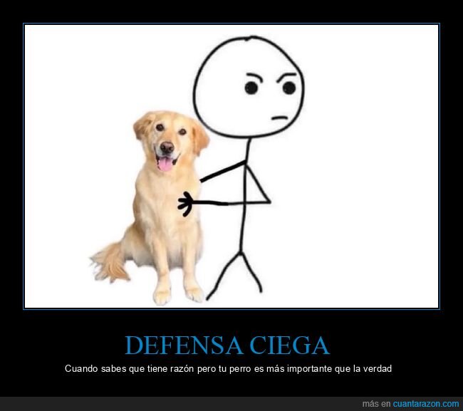perro,defensa,culpa,lealtad,negaci&oacute;n