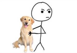 Enlace a Mi perro es inocente hasta que demuestre lo contrario