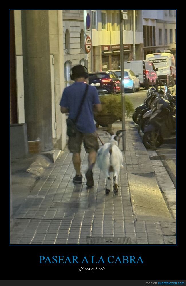 pasear,cabra