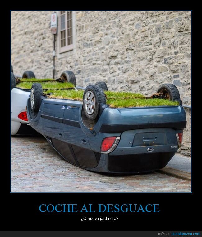 veh&iacute;culo,naturaleza,desastre,absurdo,abandono