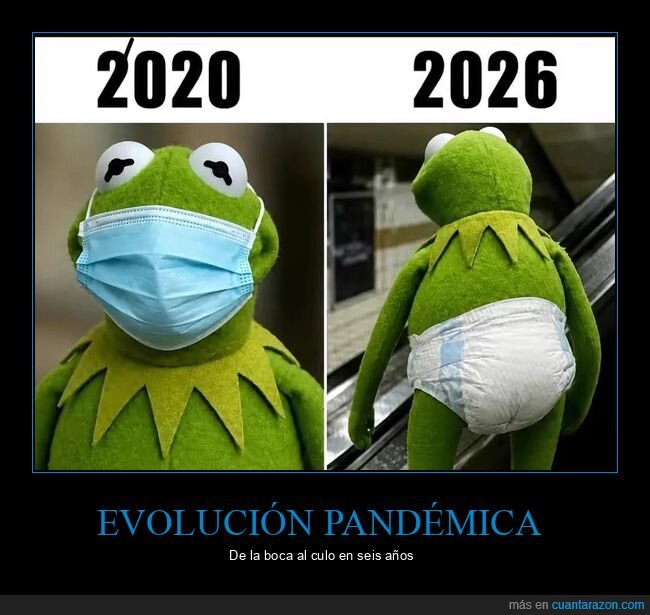 pandemia,evoluci&oacute;n,2020,2026,desgracia