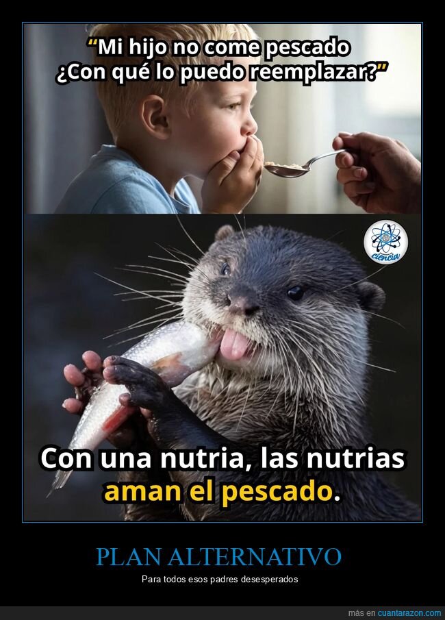 alimentaci&oacute;n,paternidad,pescado,nutria,soluciones
