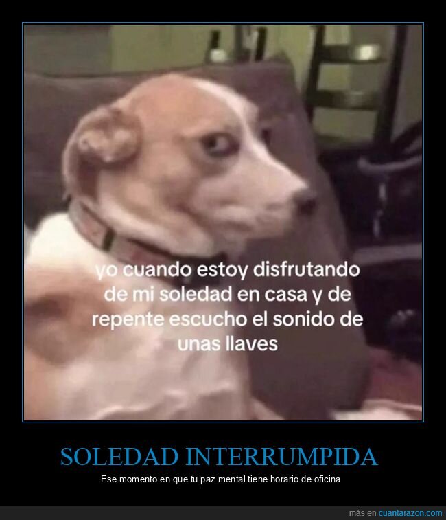 soledad,interrupciones,ansiedad,realidad,cotidiano