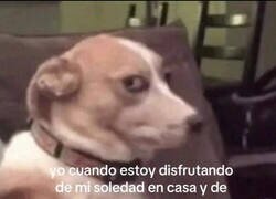 Enlace a La tranquilidad es un lujo que no te puedes permitir
