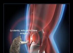 Enlace a Hay que saber decir 