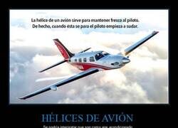 Enlace a Piloto sudando