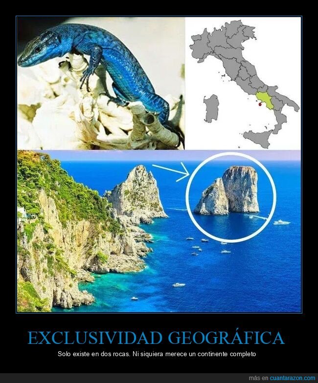 Capri,endemismo,exclusividad,naturaleza,rareza