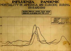 Enlace a La gripe española alcanzó su punto máximo exactamente en la misma semana en Nueva York, París y Berlín