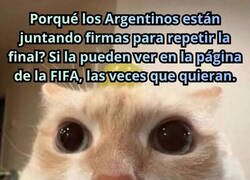 Enlace a Argentinos, dejad de hacer el ridículo