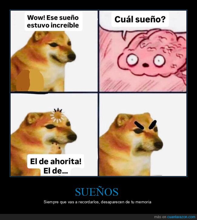 realidad,decepciones,expectativas,cotidiano,despertar