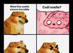 Enlace a Cuando la vida te despierta de golpe