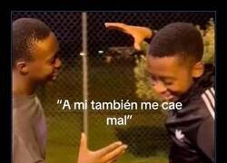 Enlace a A mí también me cae mal