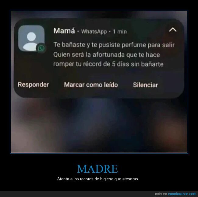 madre,whatsapp,expectativas,realidad,desencanto