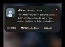 Enlace a Optimismo materno