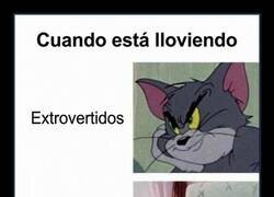 Enlace a Cuando llueve, los introvertidos ganan la lotería