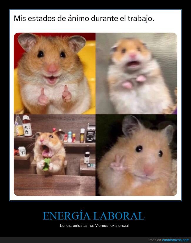 trabajo,estados,&aacute;nimo,oficina,laboral