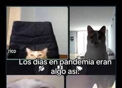 Enlace a Todos con cara de circunstancias