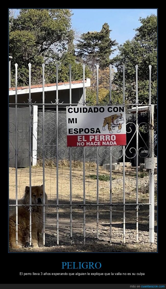 perro,advertencia,seguridad,mascotas,valla