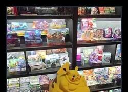 Enlace a El pikachu obesín