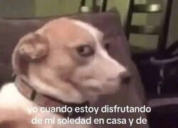 Enlace a Cuando la paz es solo un espejismo