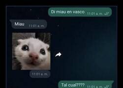 Enlace a Di miau, recibirás miau