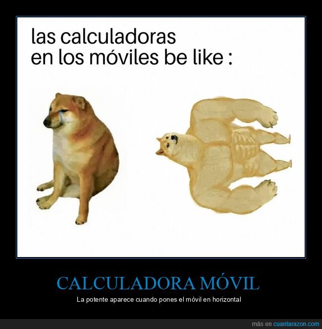 calculadora,tel&eacute;fono,absurdo,perro,tecnolog&iacute;a
