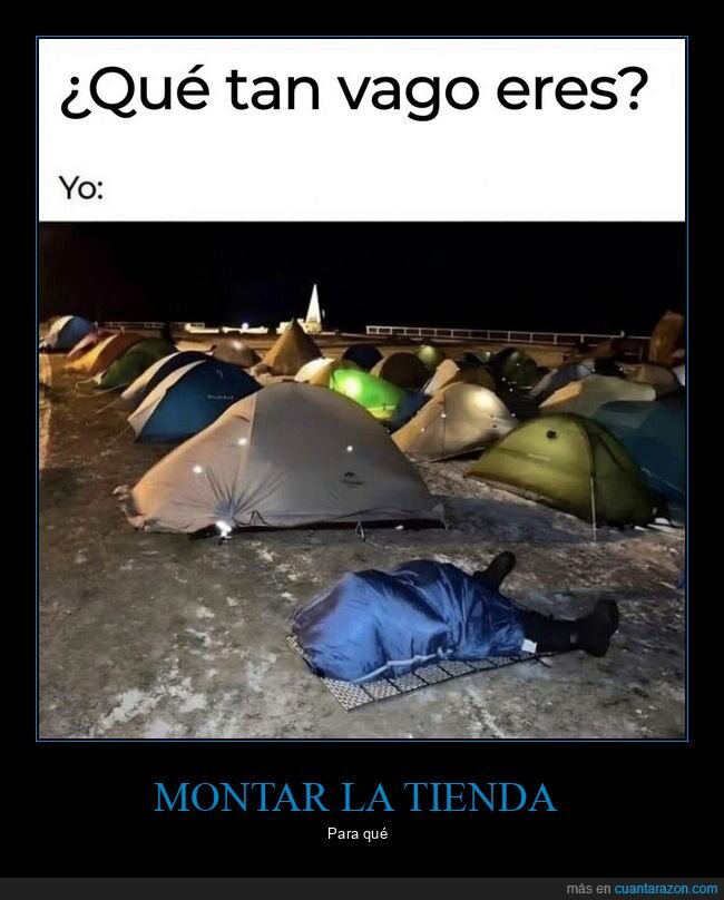 pereza,cama,dormir,vago,extremo