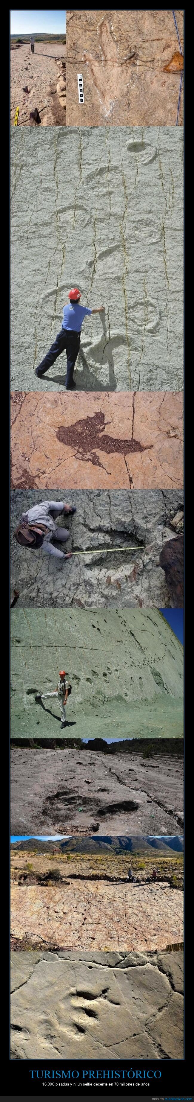 dinosaurios,f&oacute;siles,Bolivia,turismo,antig&uuml;edad