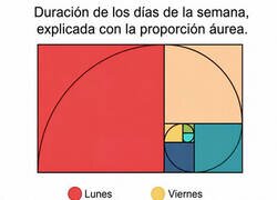Enlace a El lunes ocupa más espacio que toda tu vida social