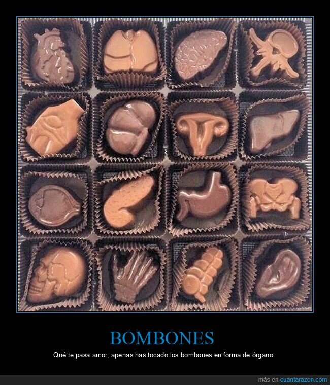 chocolate,anat&oacute;mico,pareja,romance,anatom&iacute;a