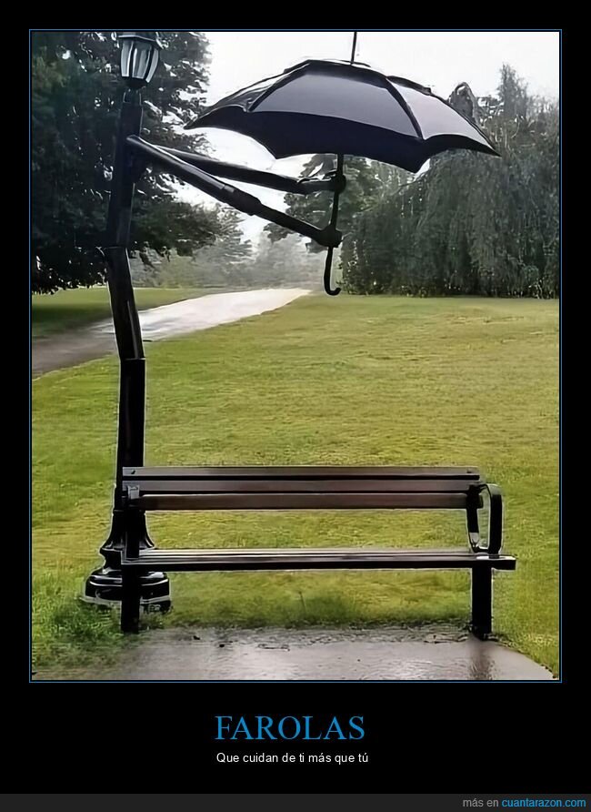 banco,paraguas,lluvia,dise&ntilde;o,fallo