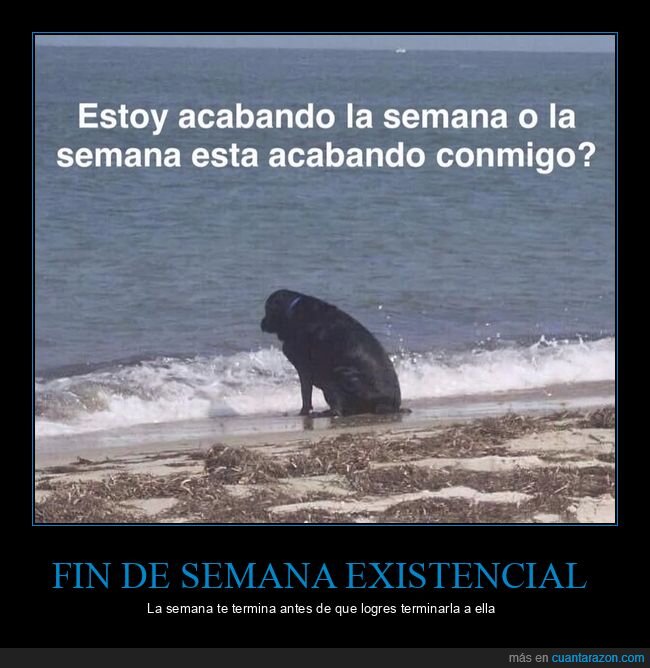 cansancio,lunes,trabajo,playa,supervivencia