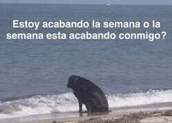Enlace a ¿Acabando la semana o la semana acabándote?