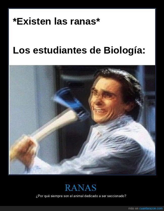 ranas,biolog&iacute;a,estudiantes,disecci&oacute;n,laboratorio