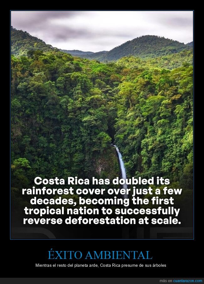 reforestaci&oacute;n,sostenibilidad,naturaleza,logros,planeta