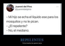 Enlace a Cuando ni los bichos te soportan