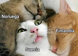 Enlace a Noruega, Suecia y Finlandia