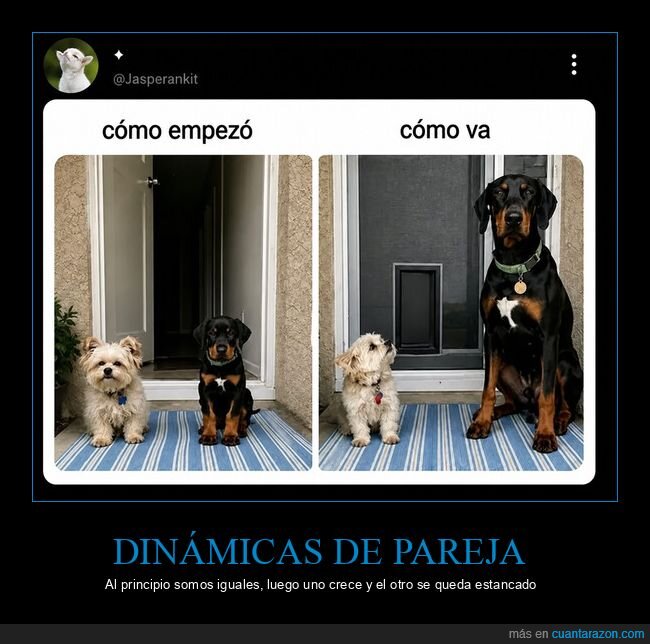 perros,crecimiento,relaciones,cambio,comparaci&oacute;n