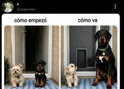 Enlace a Cuando la relación te hace más pequeño
