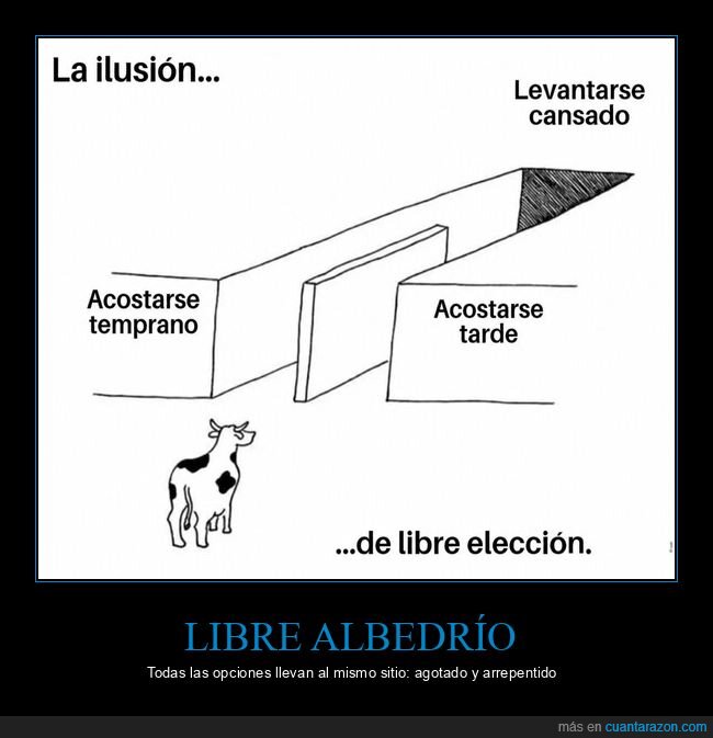 insomnio,rutina,cansancio,decisiones,realidad