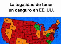 Enlace a Prácticamente toda América en contra tuya
