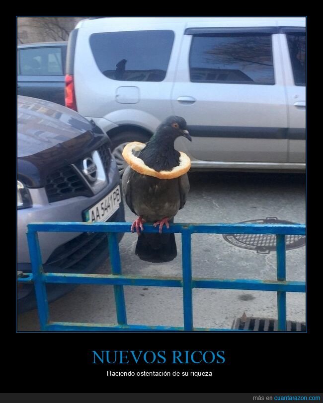 paloma,pan,rico