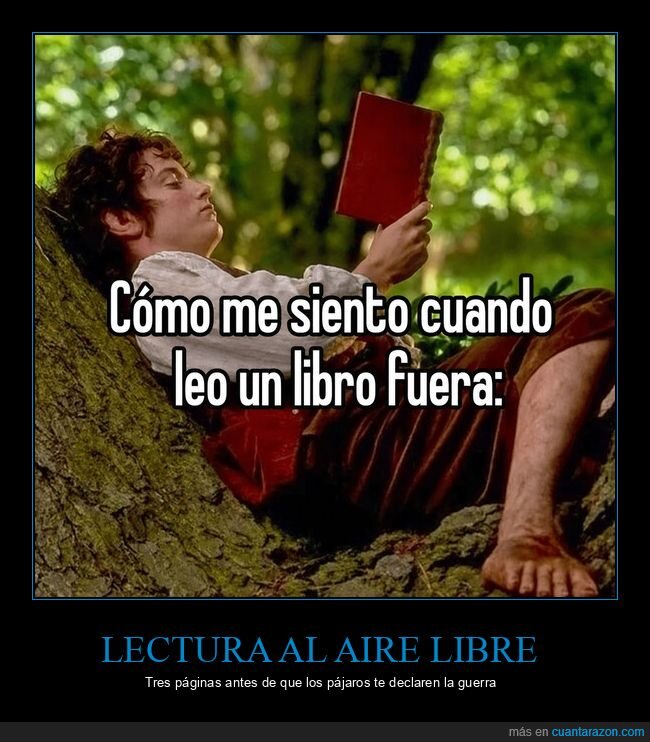 lectura,naturaleza,literatura,soledad,equilibrio